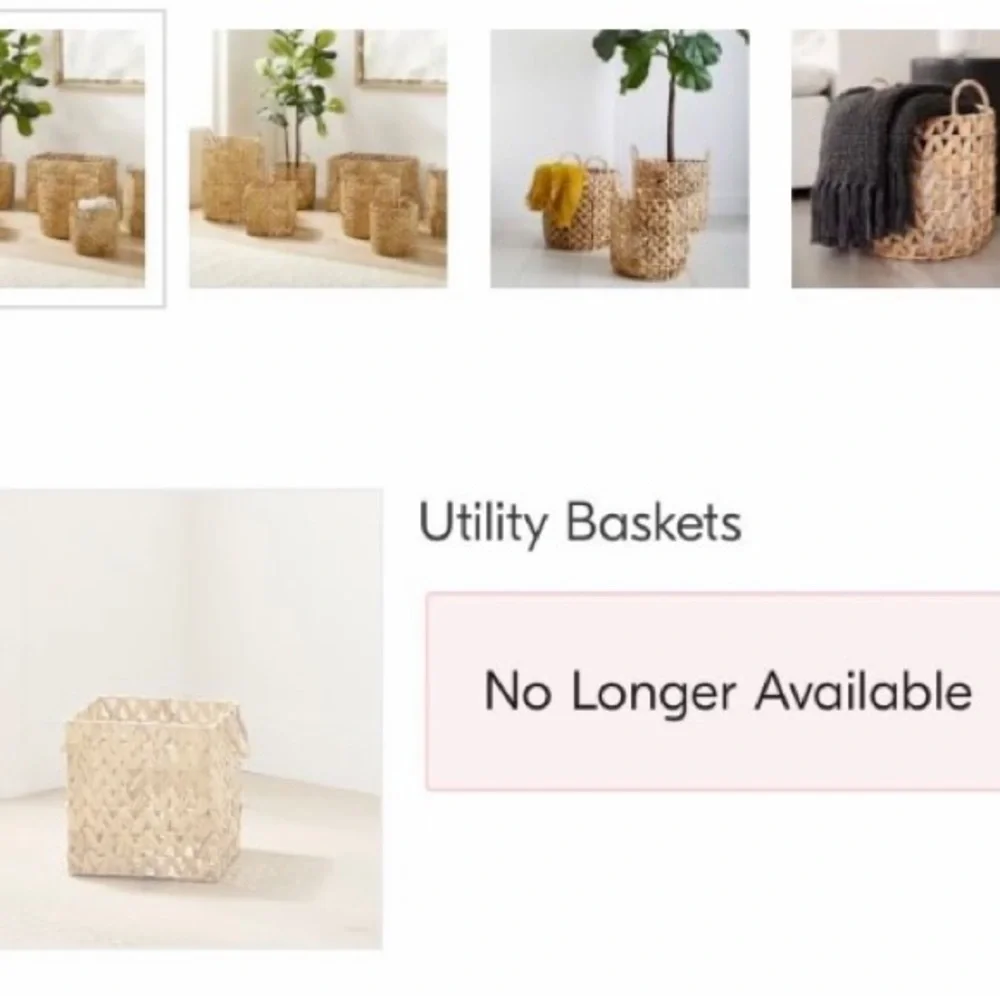 West Elm Baskets - New w Tags Out of stock